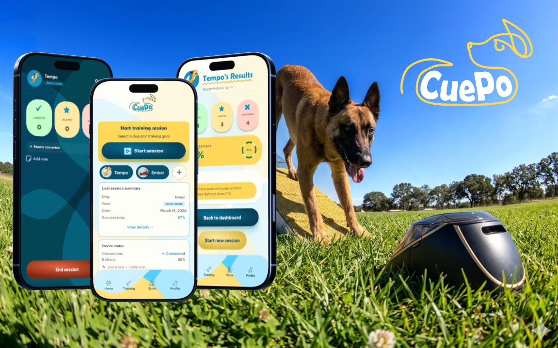 CuePo case study