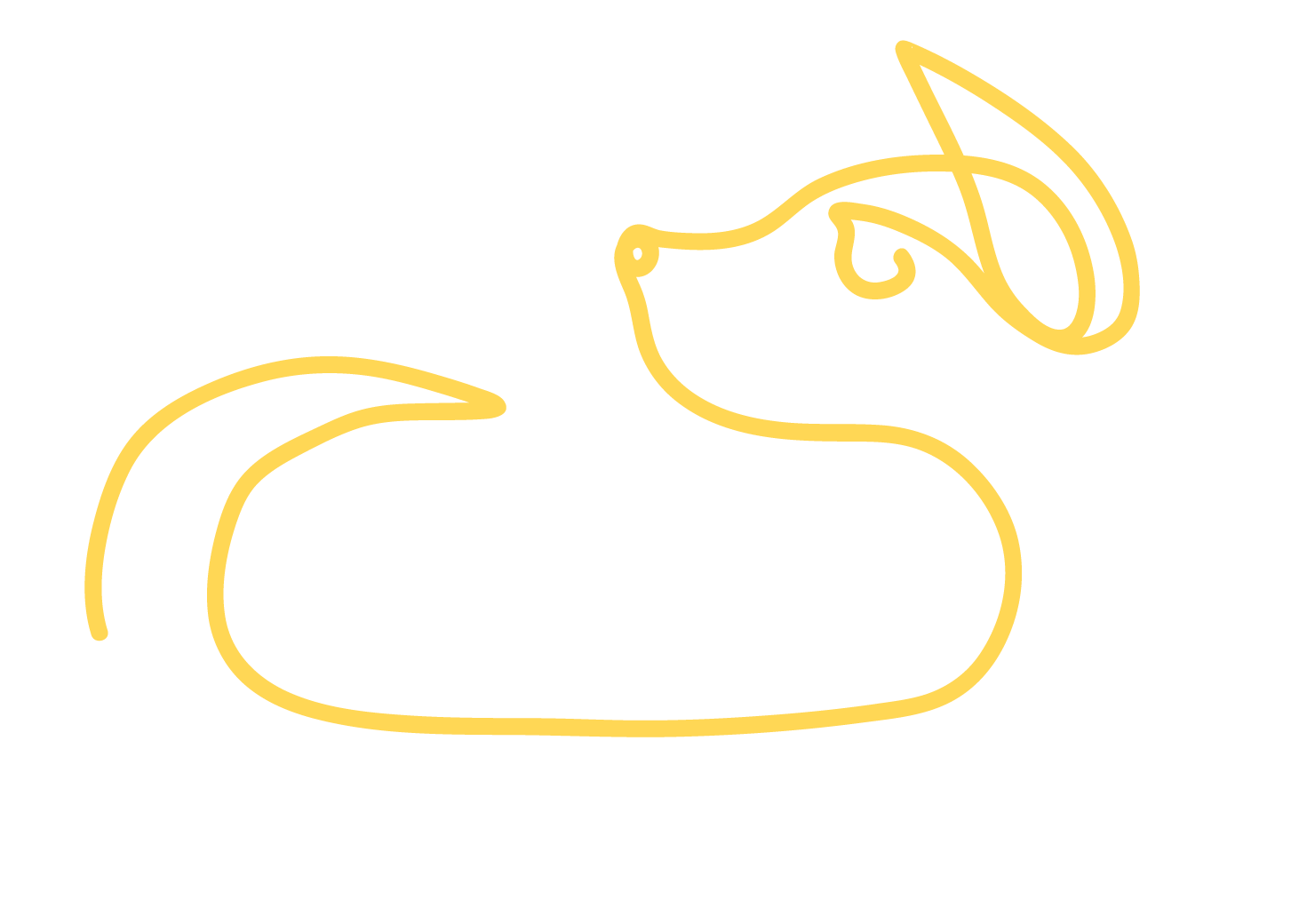 CuePo