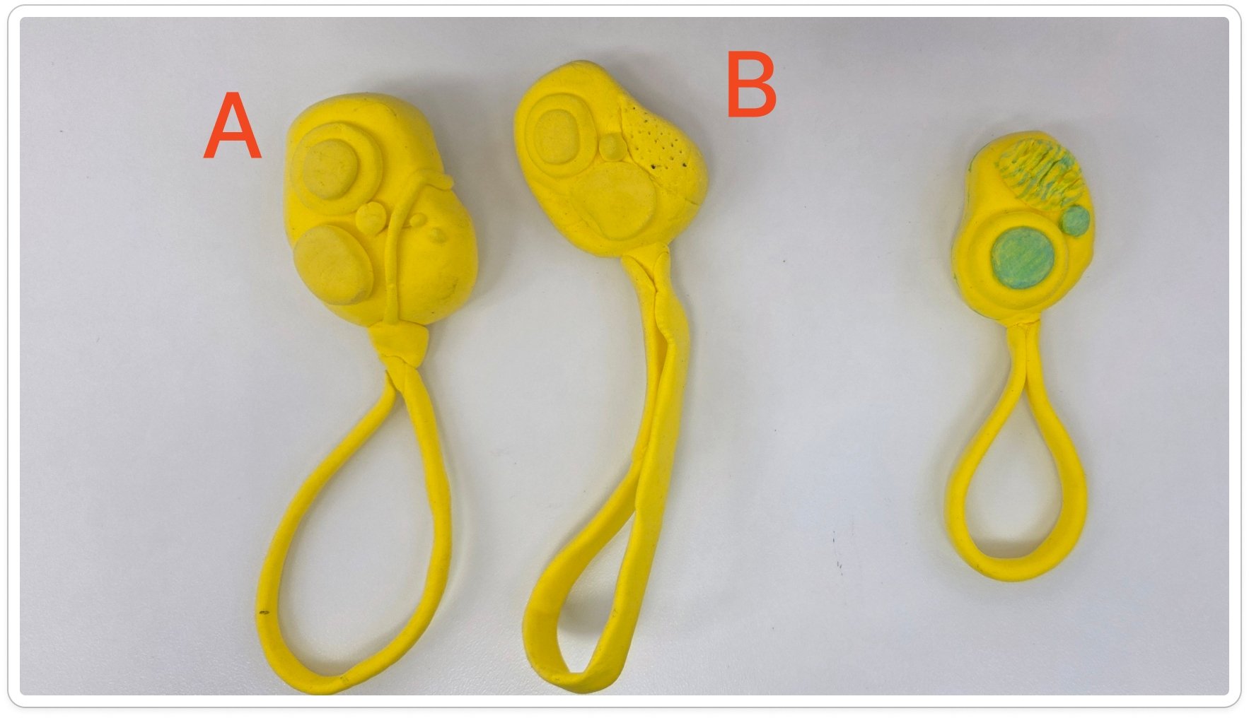 Three foam clay remote prototypes — A (winner, larger), middle variant, and B (smaller)