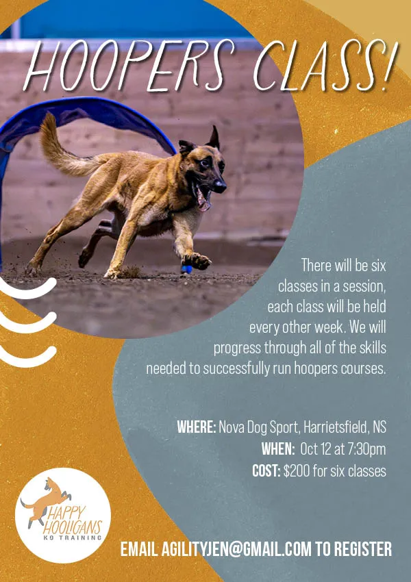 Happy Hooligans K9 Training — biweekly class Facebook ad