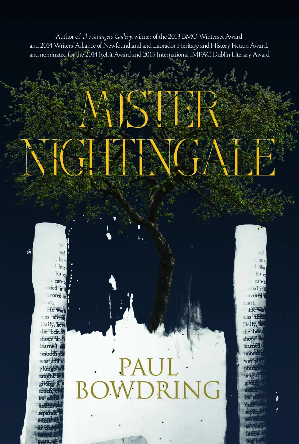 Mister Nightingale — book cover
